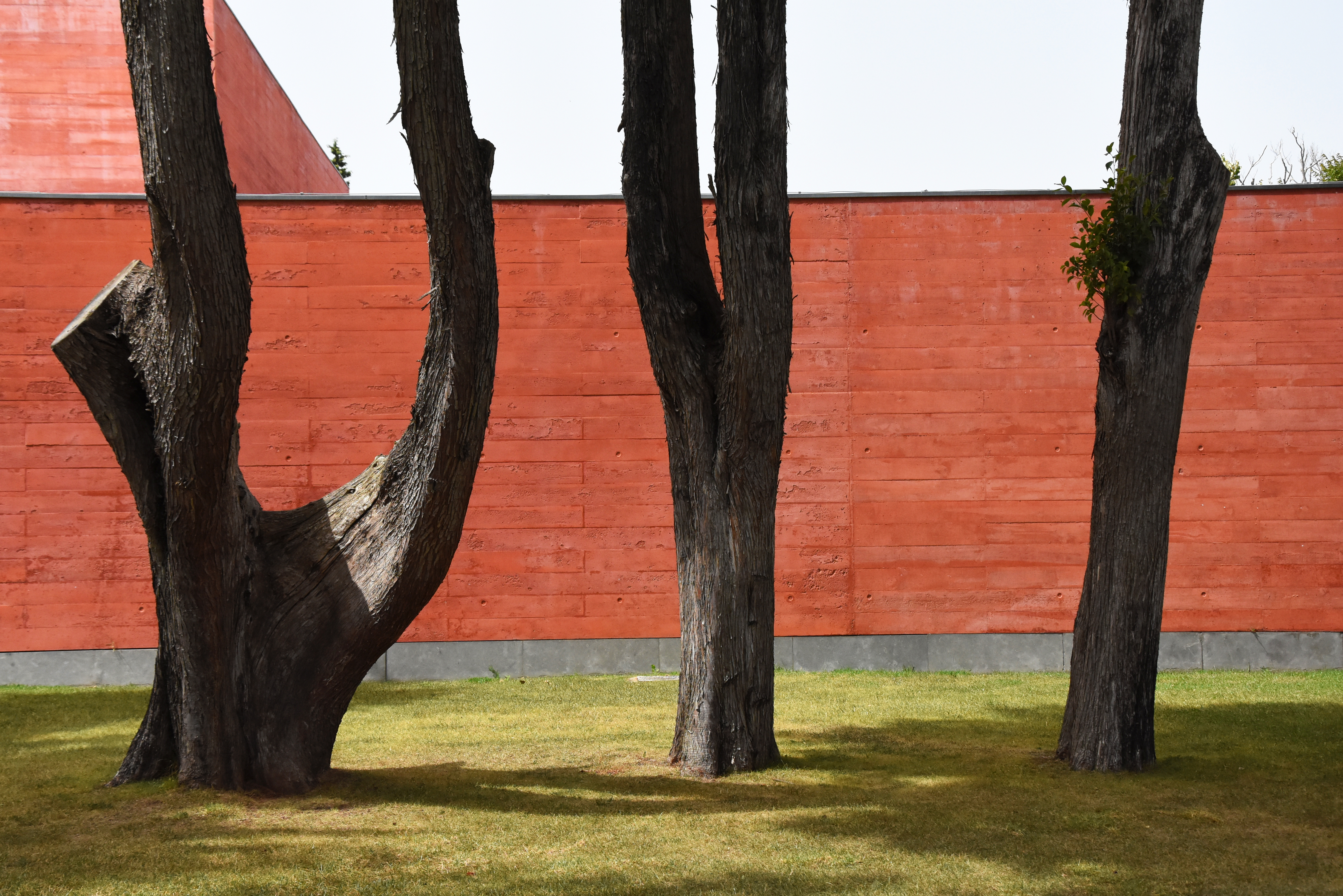 Muséo Casa Das historias Paula Rego